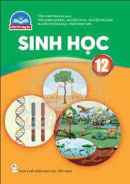 Book 6